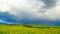 Stormy clouds over wheat fields illuminated by the sun. 4K TimeLaps