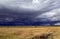 Stormy clouds with rain shower over the savannah in the wet season at Masai Mara, Kenya