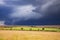 Stormy clouds with rain shower over the savannah in the wet season at Masai Mara, Kenya,