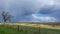 Stormy Day in the Country - Tree, Fence