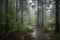 stormy day in forest, with trees swaying in the wind and rain pouring down