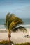 Stormy Day on Lido Beach