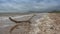 Stormy deserted beach