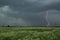 Stormy dramatic sky with lightning and a beautiful flowering field with white flowers.