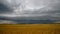 A stormy front over a ripe wheat field. Russia