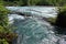 Stormy mountain river with branches and tree trunks