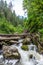 Stormy mountain river in the forest in Altai, Russia