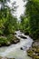 Stormy mountain river and rocky shore. Forest Valley. Slovenia Alps.