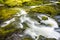 Stormy mountain river with stones covered with green moss in a wild forest