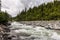 Stormy mountain river with stony banks and coniferous forest.