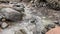 Stormy mountain stream with clear water. Drinking water pours over the stones.