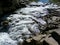 Stormy rifts on a small mountain river in Ivano-Frankivsk region, Ukraine