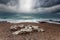 Stormy rocky coast in ocean