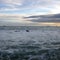 Stormy sea in Leghorn