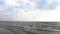 Stormy sea with seagulls in blue sky. Video. Beautiful seascape with birds, waves, white foam, breeze, splashes, sand.