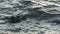 Stormy sea washes small and sharp rocks near embankment