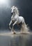 Stormy Serenity: Beautiful White Horse rearing up in shallow waters