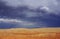 Stormy Simpson Desert