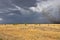 Stormy sky in the field, thunderstorm in the steppe, fire in the steppe