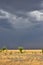 Stormy sky in the field, thunderstorm in the steppe, fire in the steppe