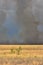 Stormy sky in the field, thunderstorm in the steppe, fire in the steppe