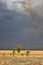 Stormy sky in the field, thunderstorm in the steppe, fire in the steppe