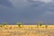 Stormy sky in the field, thunderstorm in the steppe, fire in the steppe