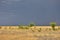 Stormy sky in the field, thunderstorm in the steppe, fire in the steppe