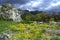 Stormy sky mountain glade