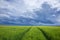 Stormy sky over green field in Bavaria Germany