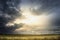 Stormy sky over wheat field