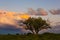 Stormy sky at sunset in the pampas field, La Pampa,