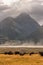 Stormy weather at Mount Cook National Park