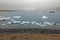 Stormy weather over Jokulsarlon, the most famous glacier lagoon from Iceland.