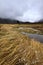 Stormy Weather at Rocky Mountain National Park