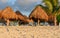 Stormy weather. Tropical sandy beach with palms, straw umbrellas and stripy lounge chairs.