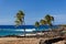 Stormy wind on Hawaii`s coast