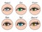 Story highlight covers with different types of lashes sets on blue, green, grey and brown eyes