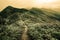 Storybook landscape of a footpath through rolling hills on the Caoling Historic Trail in Taiwan