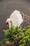 Stour Valley Swan