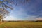 Stour Valley,UK, in Winter