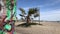 Stout Date Palm Tree Basks In Venice Beach Sunlight 4K 30 fps
