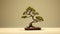 Stout Minimalist Cactus Bonsai Tree - Hd Desktop Wallpaper
