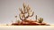 Stout Minimalist Cactus Bonsai Tree - Long-lasting Hd Desktop Wallpaper