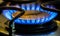 Stove Natural Gas Burners