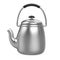 Stovetop Kettle Isolated