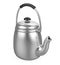 Stovetop Kettle Isolated