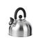 Stovetop whistling kettle