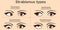 Strabismus types woman crossed eyes. Esotropia,  inward turning, Outward, exotropia, Upward hypertropia, Downward hypotropia, Skin