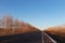 The straight asphalt road is flanked by beautiful prairie and golden trees under the blue sky